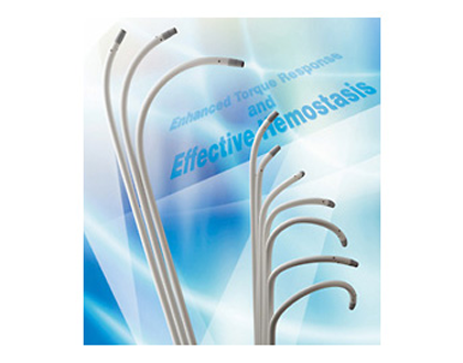Swartz Braided Transseptal Guiding Introducer